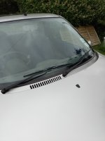 IMG_20240703_172430_977.jpg