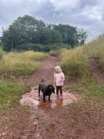IMG_5511.jpeg