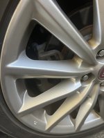 IMG_0112.jpeg
