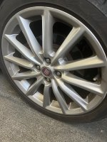 IMG_0113.jpeg