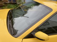 IMG_3482.jpeg
