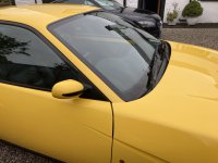 IMG_3483.jpeg