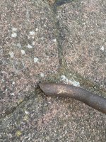 IMG_1374.JPG