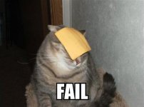 failcat3.jpg