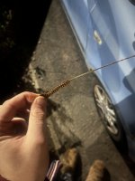 IMG_5280.jpeg