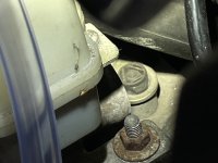 IMG_8826.jpeg