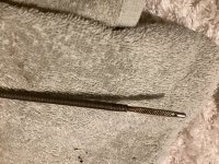 IMG_2766.jpeg
