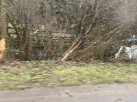 IMG_7010.jpeg