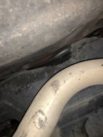 IMG_5623.jpeg