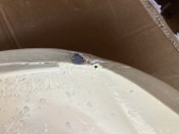 IMG_1418.jpeg