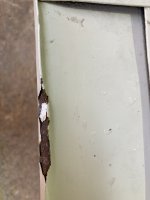 IMG_1421.jpeg