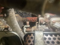 IMG_6220.jpeg