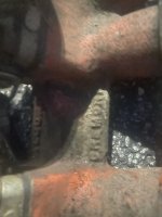 IMG_6219.jpeg