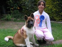 Tia at 15 weeks and with show rosetts 002.jpg