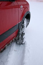IMG_6130.jpg