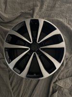 IMG_2036.jpeg