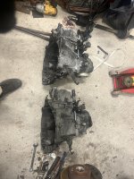 IMG_7636.jpeg