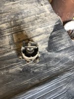 IMG_9456.jpeg