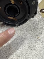 IMG_3303.jpeg