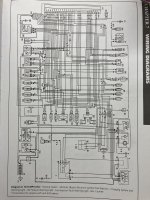 IMG_7285.jpeg