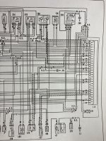 IMG_7286.jpeg