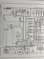IMG_7287.jpeg