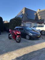 IMG_2016.jpeg