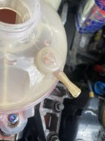 IMG_5984.jpeg