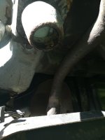 IMG_20230718_182539.jpg