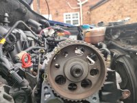 Grande Punto Camshaft Pulley.jpg
