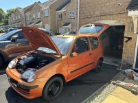 IMG_0907.jpeg