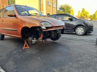 IMG_0962.jpeg
