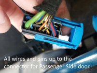 Loom (Fuse Box to Passenger's Door).jpg