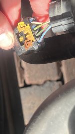 IMG_2574.jpeg