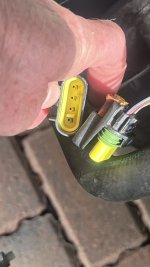 IMG_2576.jpeg