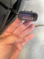 IMG_3920.jpeg