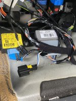 IMG_8019.jpeg