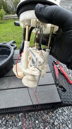 IMG_0346.jpeg