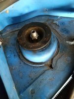 Renewed Strut Mounts.JPG