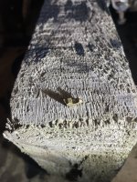 IMG_5604.jpeg