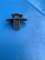 IMG_3950.jpeg