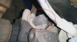 IMG_9519.jpeg