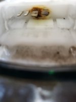 20250613_163057.jpg