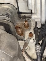 IMG_2357.jpeg