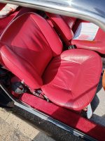 IMG_20250428_095206006_HDR (1).jpg