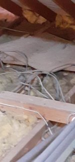 20250211_164049.jpg