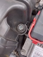 IMG_20250625_120808.jpg