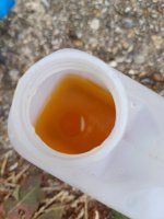 IMG_3128.jpeg