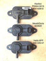 IMG_2056.jpeg