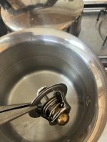 IMG_2915.jpeg